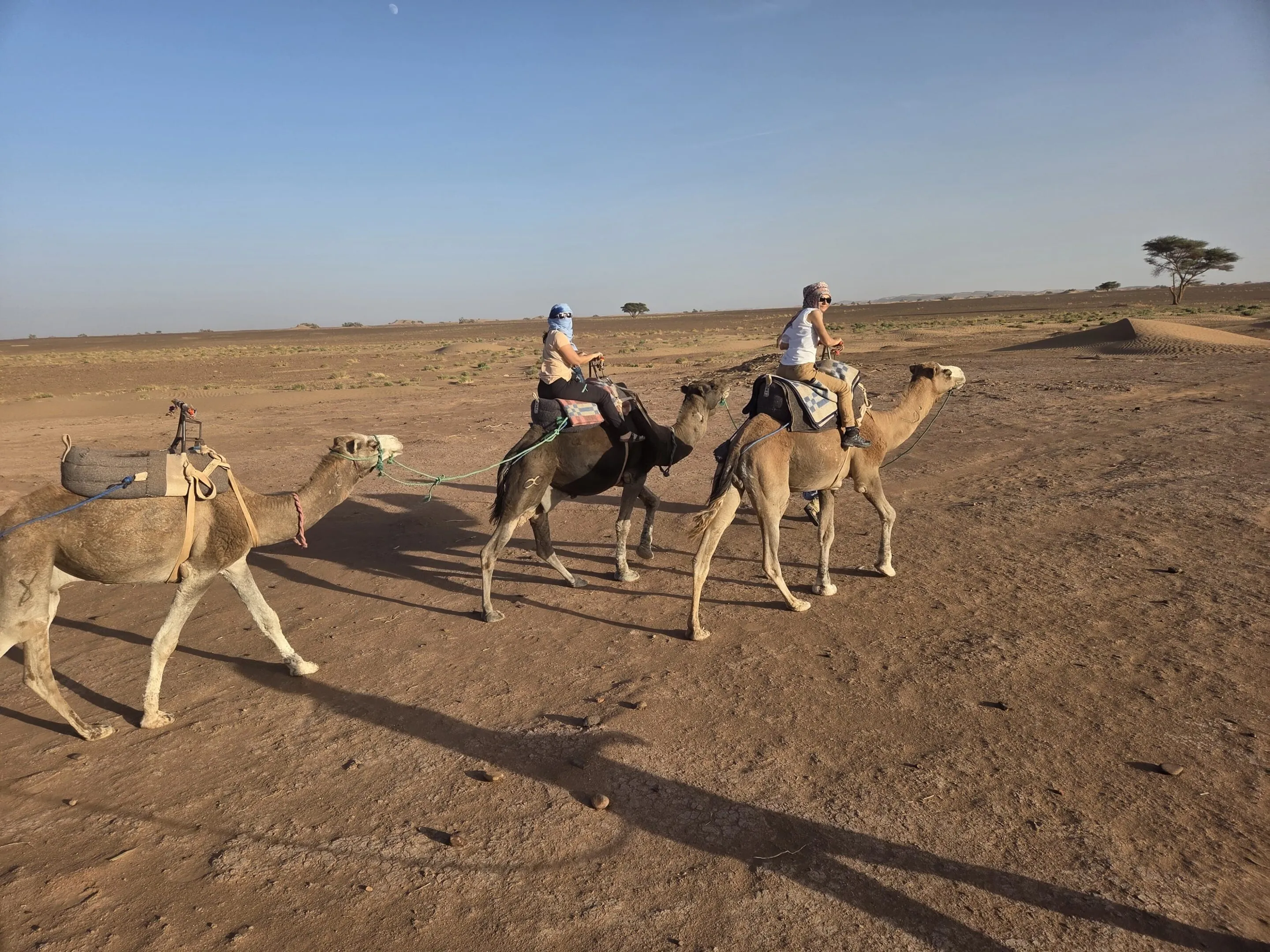 Marcher sa vie et entreprendre avec le Subtil®