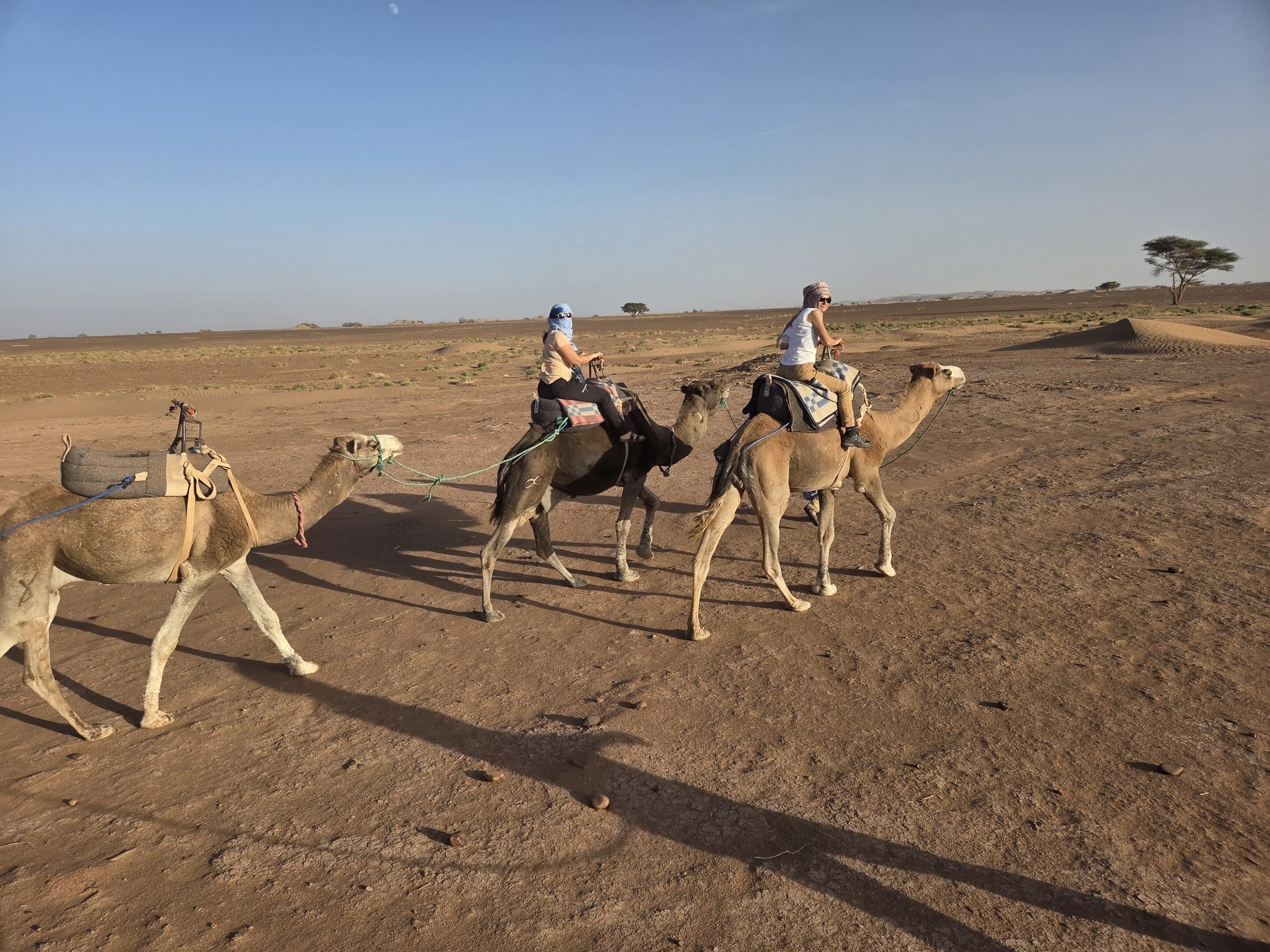Marcher sa vie et entreprendre avec le Subtil®