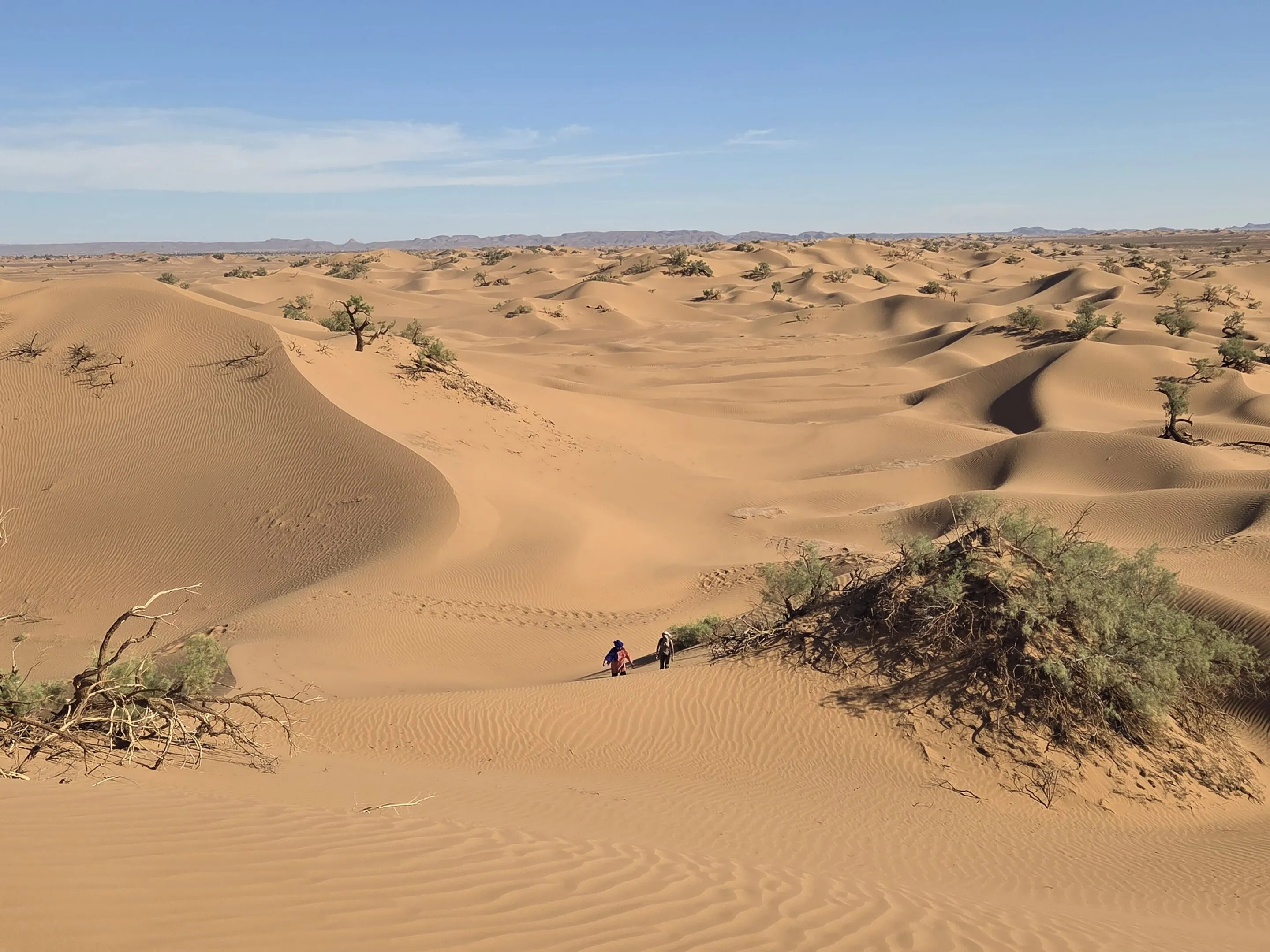 Diriger avec sagacité : quand la clarté vient du désert