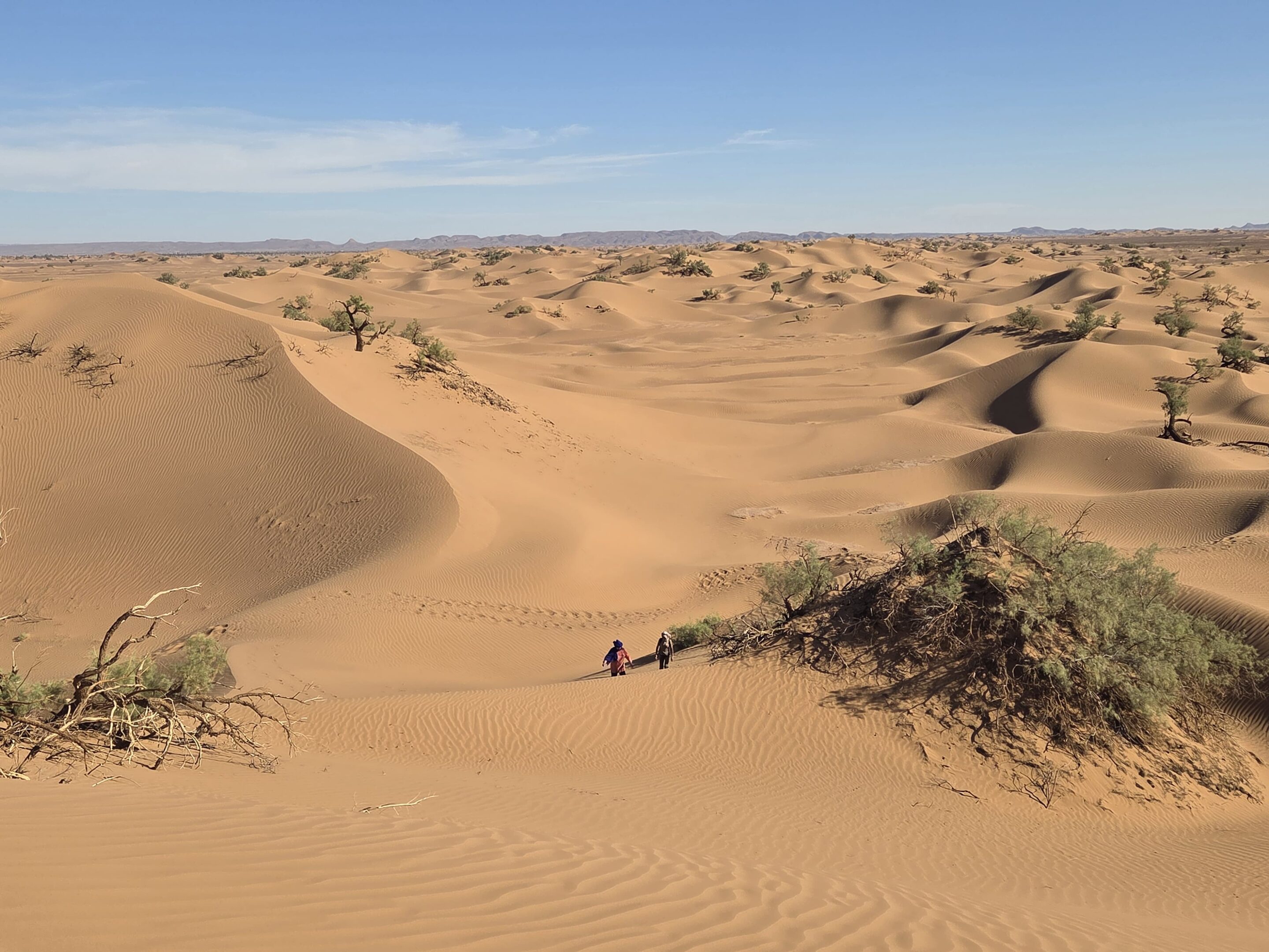 Diriger avec sagacité : quand la clarté vient du désert